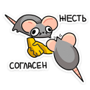:rats100: